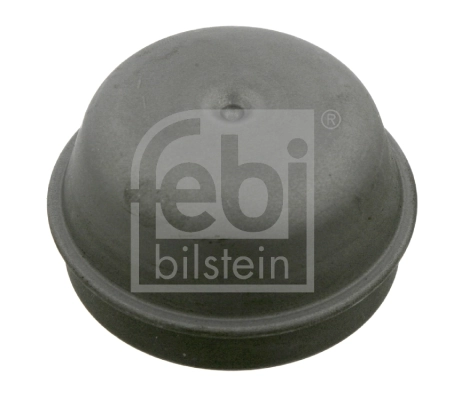 Cap, wheel bearing